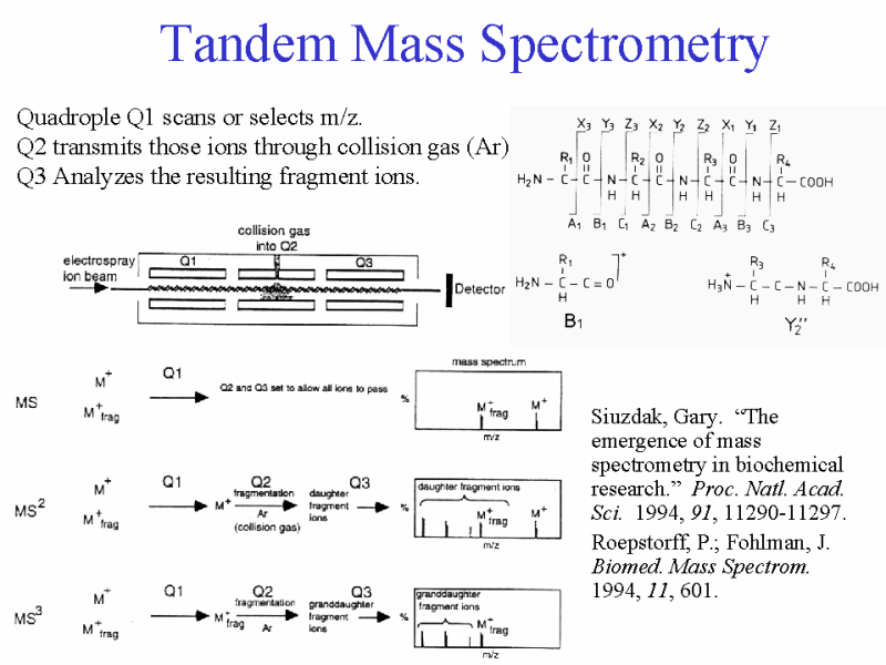 Tandem Mass Spectrometry